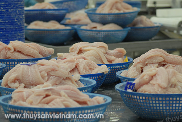 Đến nay, đã có ít nhất 11 lô hàng cá tra Việt Nam xuất khẩu bị cảnh báo Ảnh: LHV